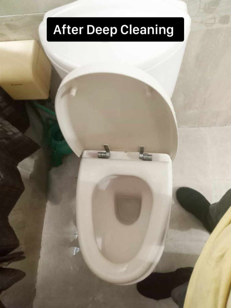 Toilet after deep cleaning