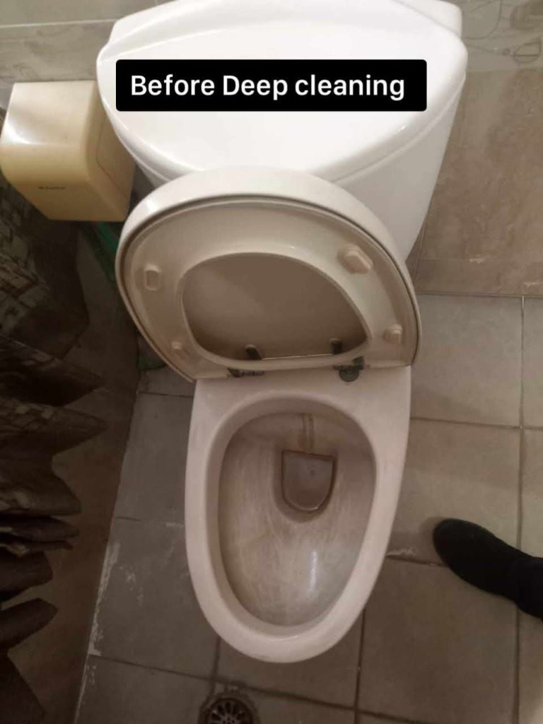 Toilet before deep cleaning